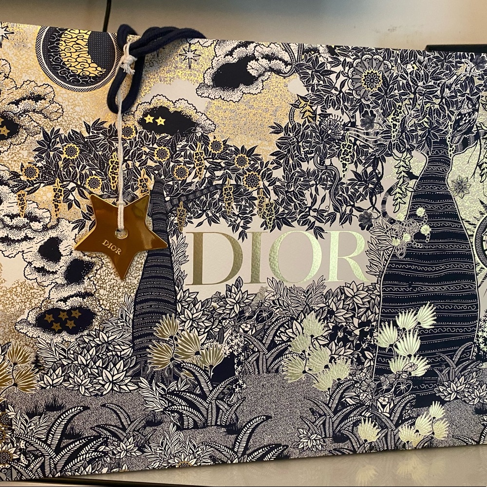 Authentic Dior Holiday Shopping Bag Gift Packaging